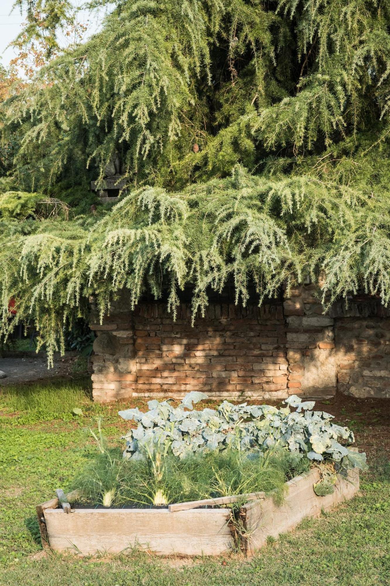 Agriturismo Beatilla Marmirolo Exterior foto